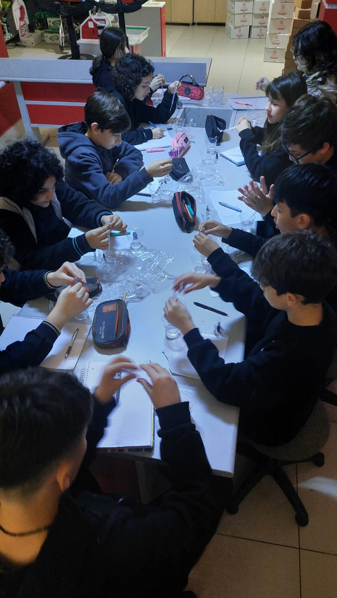 IMG-20240219-WA0004